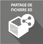 briquepartage-fichiers-3d2x